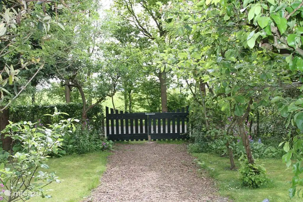 The driveway with the fruit trees. In the spring we enjoy the beautiful blossom and from the summer we pick the fruit. Plums in July and August and from the end of September the apples, pears and quinces are ripe. The garden is completely fenced so that it is safe for small children and for dogs.