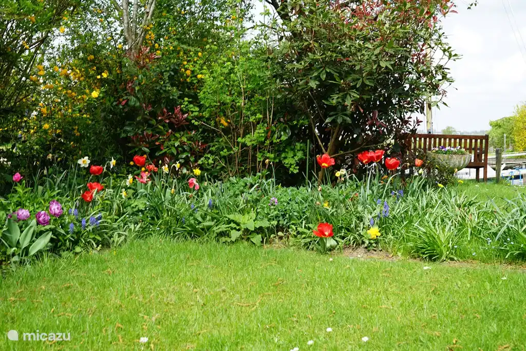 Every spring enjoy all the flowering bulbs: the beginning of the new season!