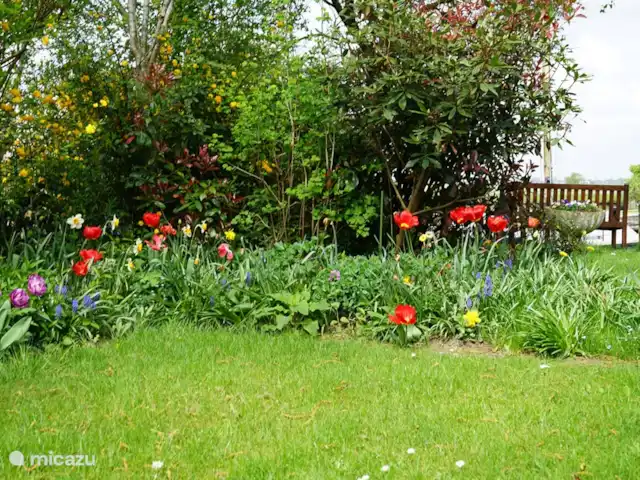 Huis aan het water: de Protter huren in Nederland, Friesland, Idskenhuizen - vakantiehuis Elk voorjaar genieten weer van alle bloeiende bloembollen: het begin van het nieuwe seizoen!