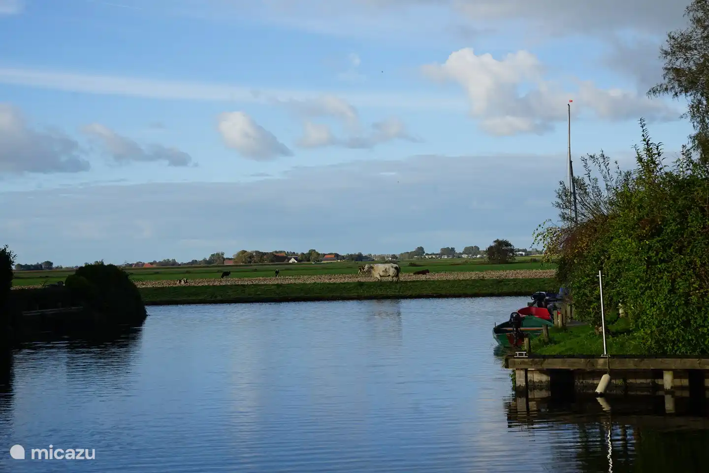 Sometimes there are cows or horses in the meadow on the other side of the harbor