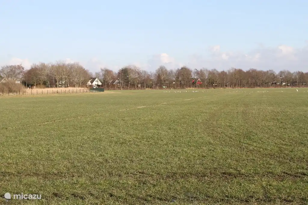 View of the houses along the Lytse Mar. Our house is hidden behind the trees between the white and the red house. It is wonderful not to have neighbors opposite, but a pasture where geese often spend the night in season.