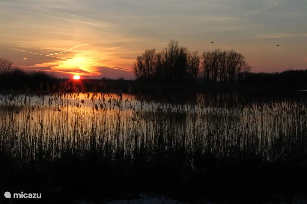 We often walk to the lake in the evening to enjoy the beautiful sunsets