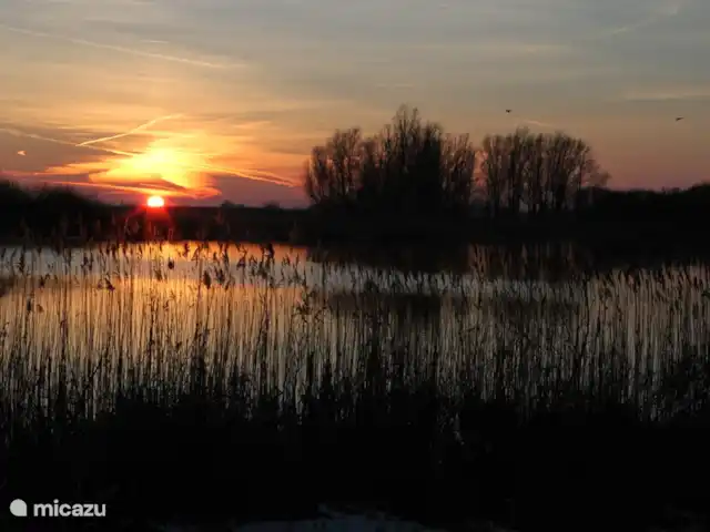Huis aan het water: de Protter huren in Nederland, Friesland, Idskenhuizen - vakantiehuis Wij lopen vaak 's avonds nog even naar het meertje om te genieten van de prachtige zonsondergangen