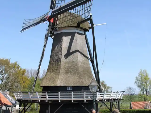 Huis aan het water: de Protter huren in Nederland, Friesland, Idskenhuizen - vakantiehuis Ook Sloten heeft zijn eigen molen: De Kaaij waar nog steeds graan gemaald wordt voor onder andere bakkerij Twijnstra die ook een bakkerij in Sloten heeft en heerlijk brood verkoopt.. Je kunt de molen op zaterdag bezoeken en er ook meel kopen.