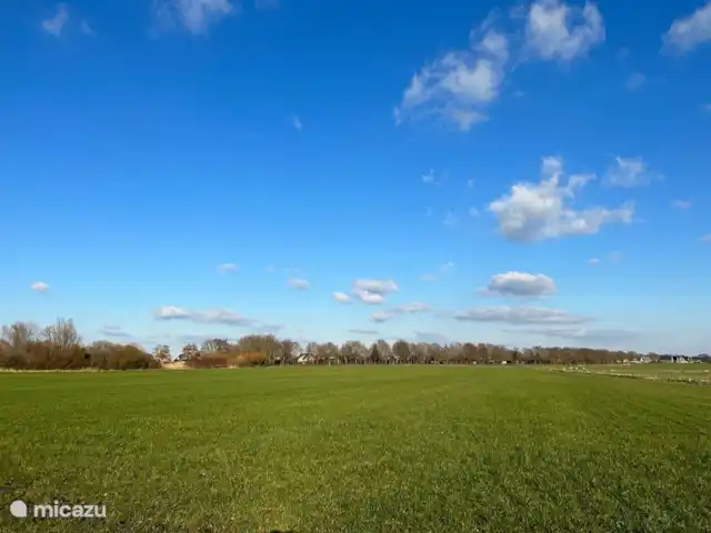 Huis aan het water: de Protter huren in Nederland, Friesland, Idskenhuizen - vakantiehuis Zicht vanaf het wandelpad op de voorkant van ons huis dat achter de bosrand ligt. Zo zie je goed wat een weids uitzicht je hebt vanaf de voorkant van ons huis maar dan vanaf de andere kant