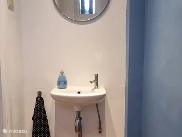 Huis aan het water: de Protter huren in Nederland, Friesland, Idskenhuizen - vakantiehuis De wc beneden