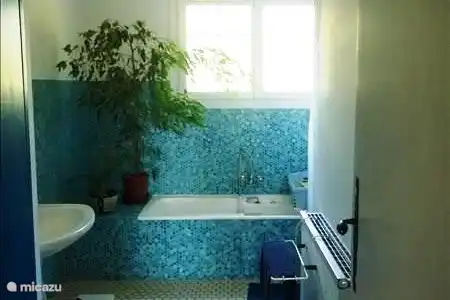 Vakantiehuis Frankrijk, Lot-et-Garonne, Samazan appartement Florine -