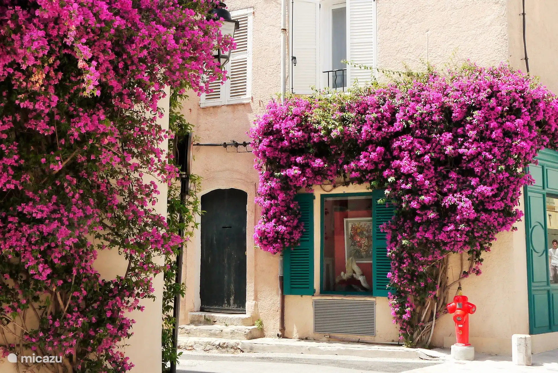 Flores en Saint-Tropez