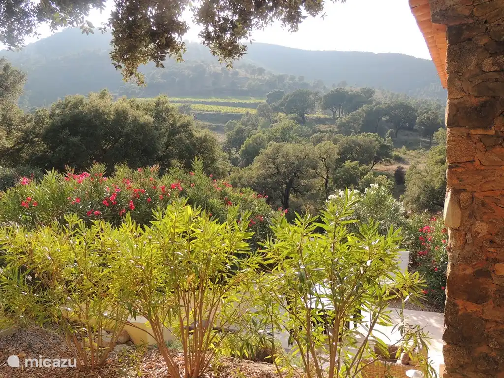 Vista desde la terraza 