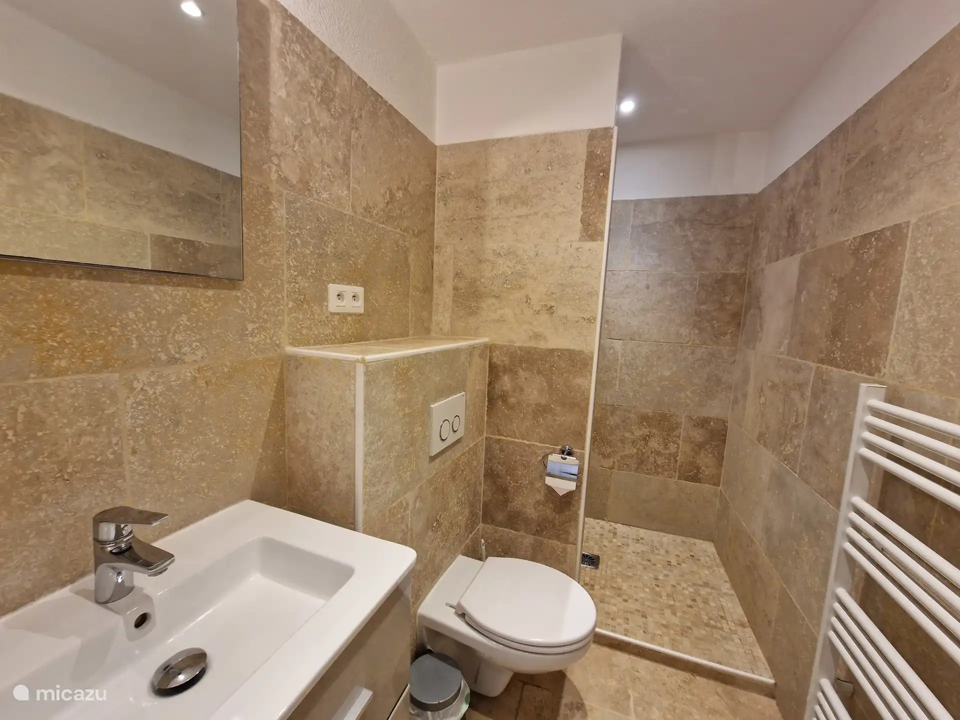 Bathroom with walk-in shower, toilet and sink