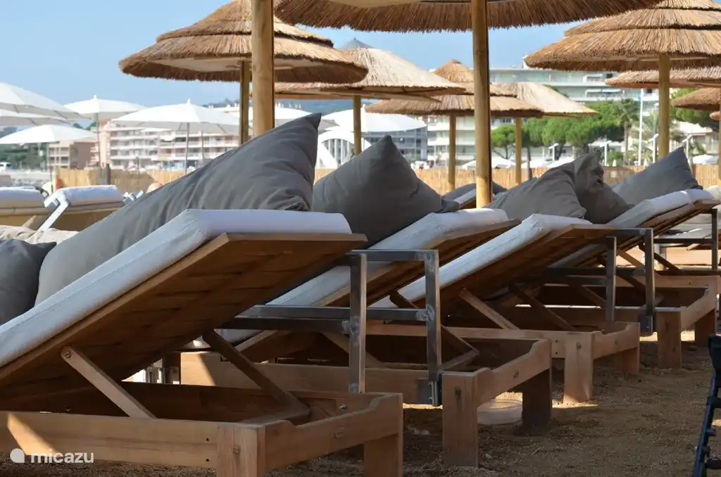 Sunbeds and umbrellas on the beach 