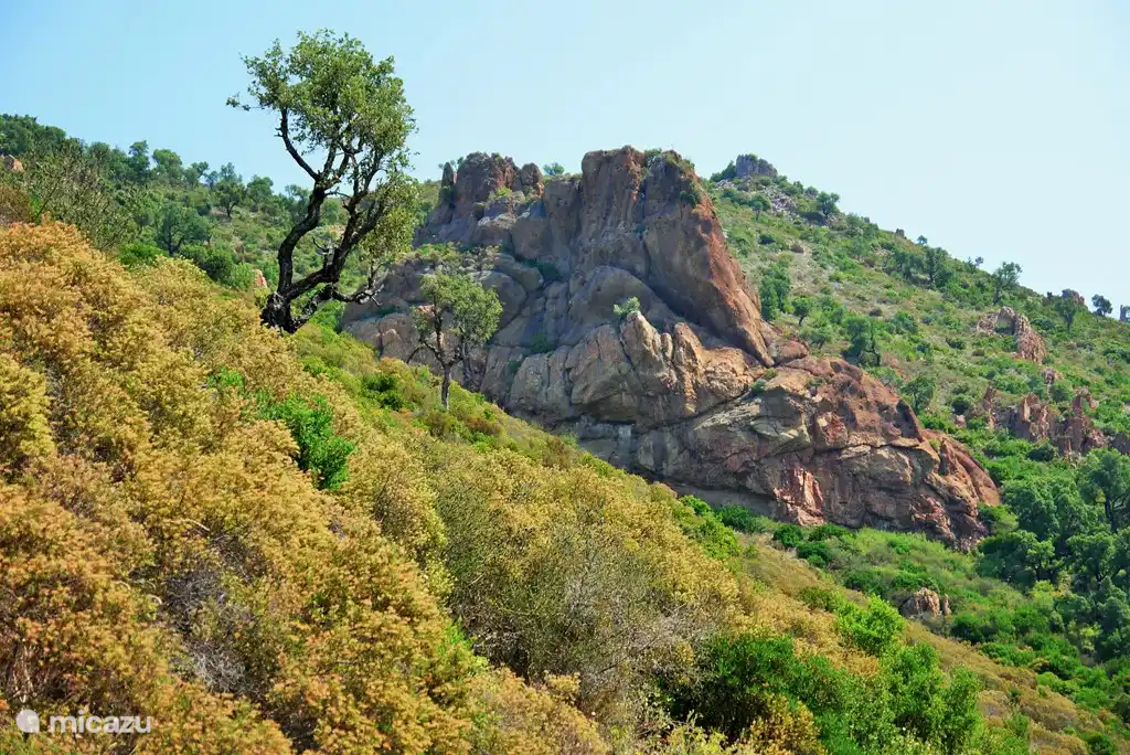 Massif les Maures nature reserve 