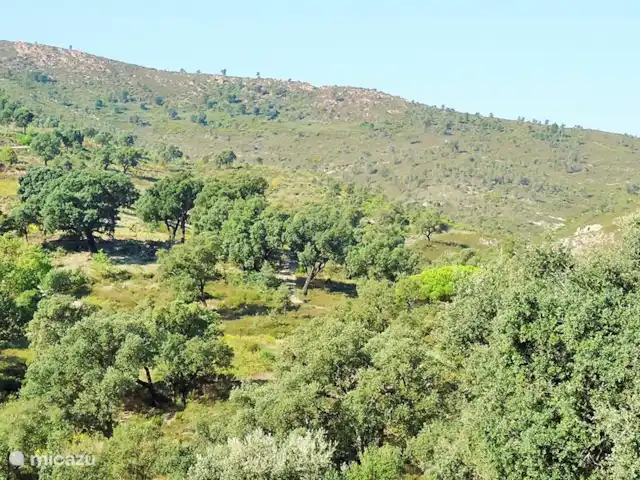 Hameau des Claudins No. 21 Mazet en Francia, Costa Azul, Le Plan-de-la-Tour - casa vacacional Prospecto