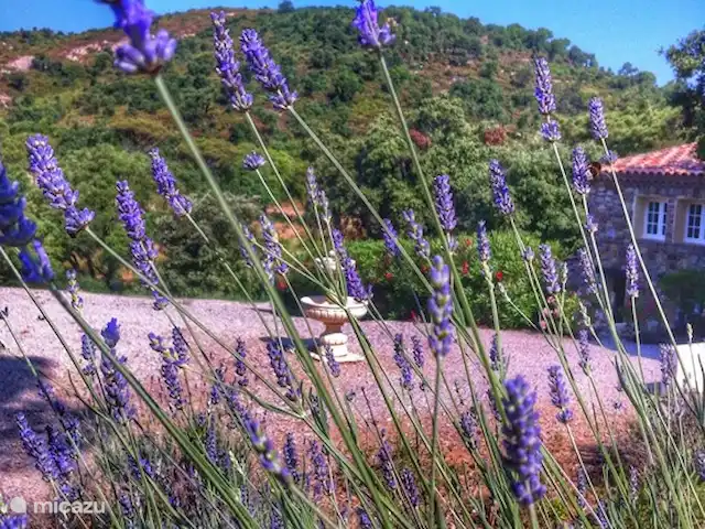 Hameau des Claudins No. 21 Mazet en Francia, Costa Azul, Le Plan-de-la-Tour - casa vacacional Lavanda en la aldea