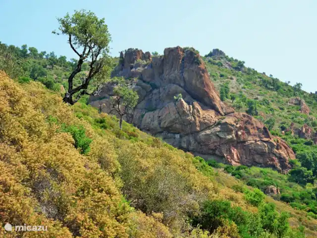 Hameau des Claudins No. 21 Mazet en Francia, Costa Azul, Le Plan-de-la-Tour - casa vacacional Reserva natural Massif les Maures