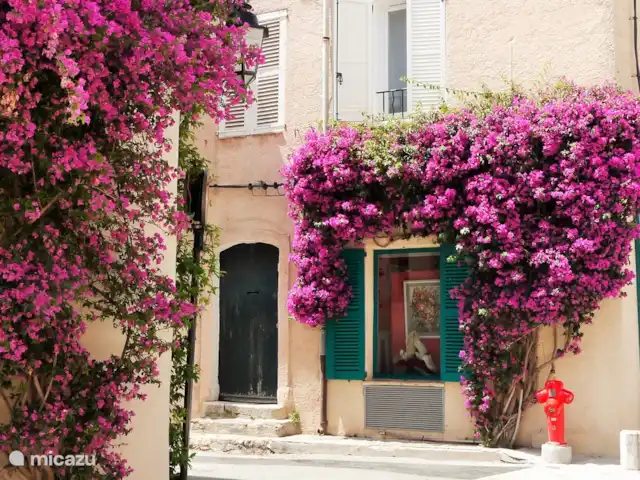 Hameau des Claudins No. 21 Mazet en Francia, Costa Azul, Le Plan-de-la-Tour - casa vacacional San Tropez