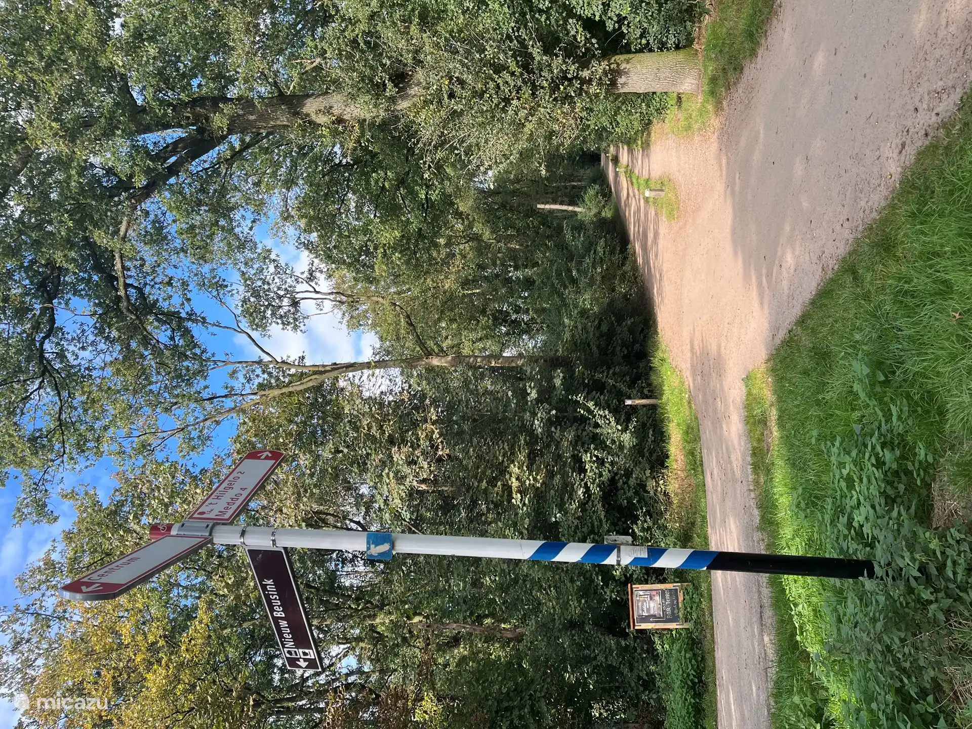 Waldweg hinter der Hütte!