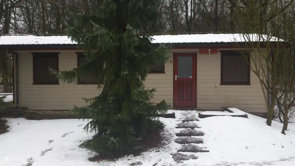 Blick auf den Wald - Winter