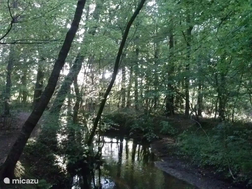 Naturschutzgebiet 't Bonnink