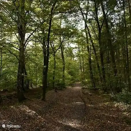 Knownelle - Naturschutzgebiet Woold - Weiler Winterswijk-