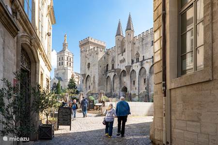 Amazing Avignon