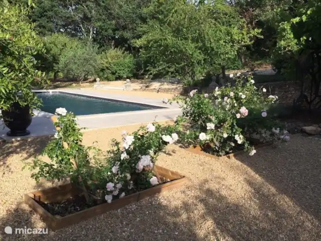 Location de Vacances France, Vaucluse, Roussillon, villa - Villa Rosalys Le jardin de la Villa Rosalys 3200 m2