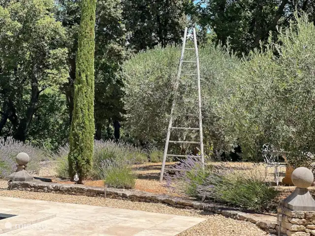 Location de Vacances France, Vaucluse, Roussillon, villa - Villa Rosalys Le jardin de la Villa Rosalys 3200 m2