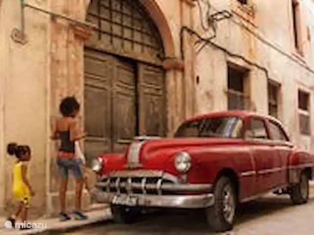 Location de Vacances Cuba, Occidental, La Havane, maison de ville - Casa La Havane - casa Guantanamera Les voitures américaines sont partout dans les rues