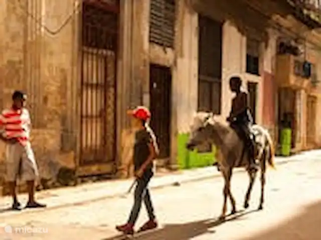 Location de Vacances Cuba, Occidental, La Havane, maison de ville - Casa La Havane - casa Guantanamera Un tour aussi ?