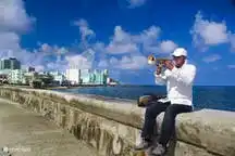 Trumpet player is looking for a tip!