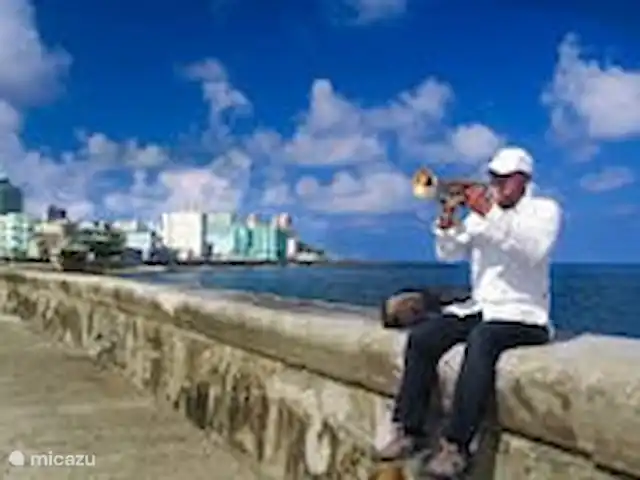 Location de Vacances Cuba, Occidental, La Havane, maison de ville - Casa La Havane - casa Guantanamera Le trompettiste cherche un pourboire !