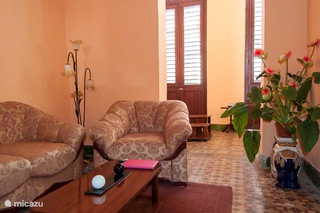 Second salon (after new paintwork)

Second saloon with sofa and reclining chairs

