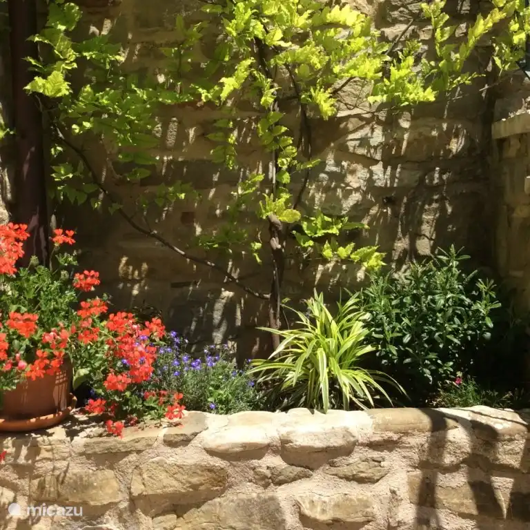 Cabraldi #Magnolia: Detail von Terrasse