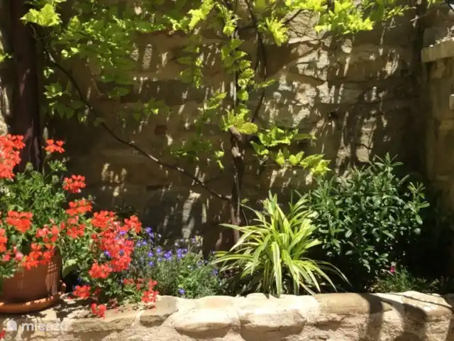 Location de Vacances Italie, Émilie-Romagne, Sarsina, appartement - Magnolia de Cabraldi Cabraldi #Magnolia : détail de la terrasse