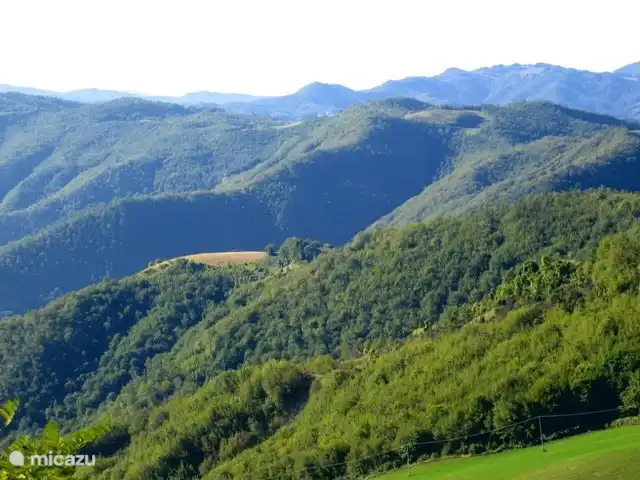 Location de Vacances Italie, Émilie-Romagne, Sarsina, appartement - Magnolia de Cabraldi Cabraldi : environnement