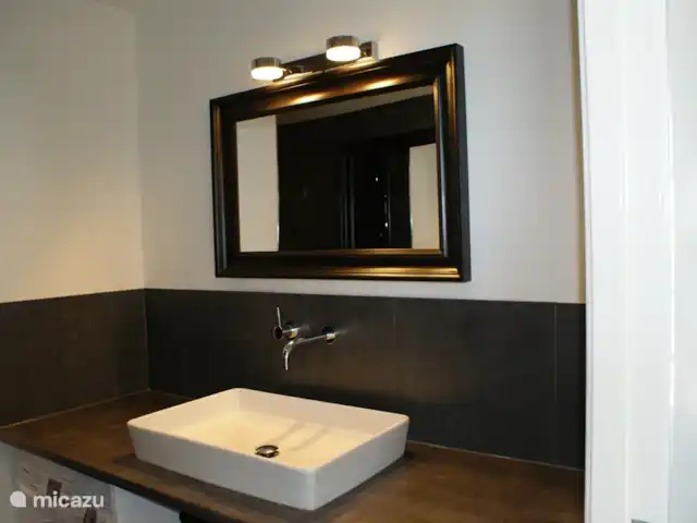 Wellness Lodge Ruigenhoek, Noordwijk | Pays-Bas, Hollande méridionale, Noordwijk - maison de vacances Salle de bain avec douche à l'italienne, lave-linge et sèche-linge.