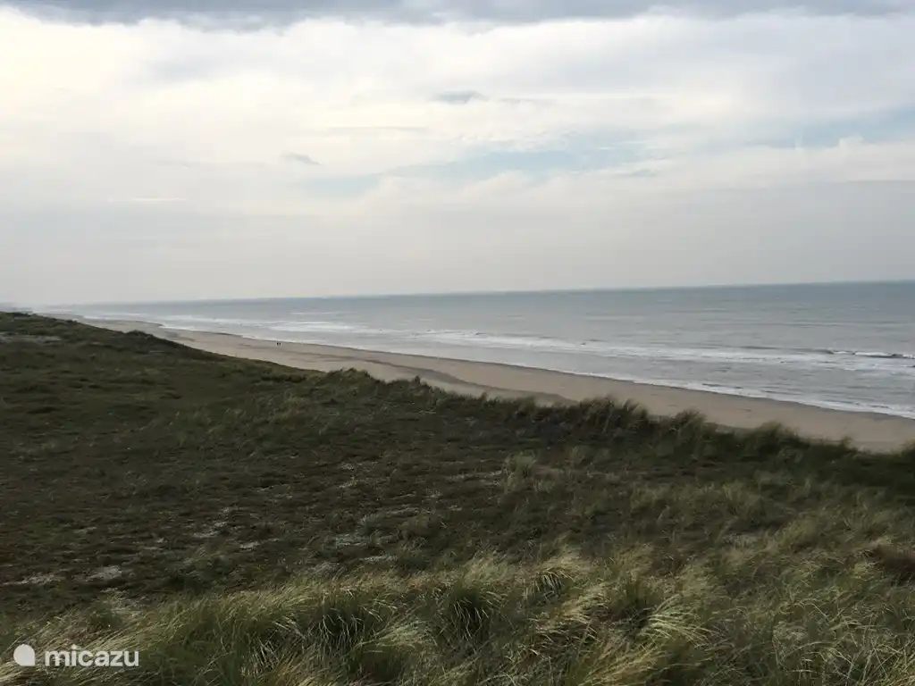 Die Düne von Amterdam an der Nordsee.