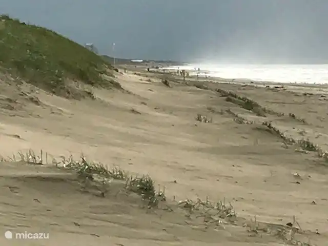 Wellness Lodge Ruigenhoek, Noordwijk | Pays-Bas, Hollande méridionale, Noordwijk - maison de vacances La plage de Langevelderslag, belle en toutes saisons.