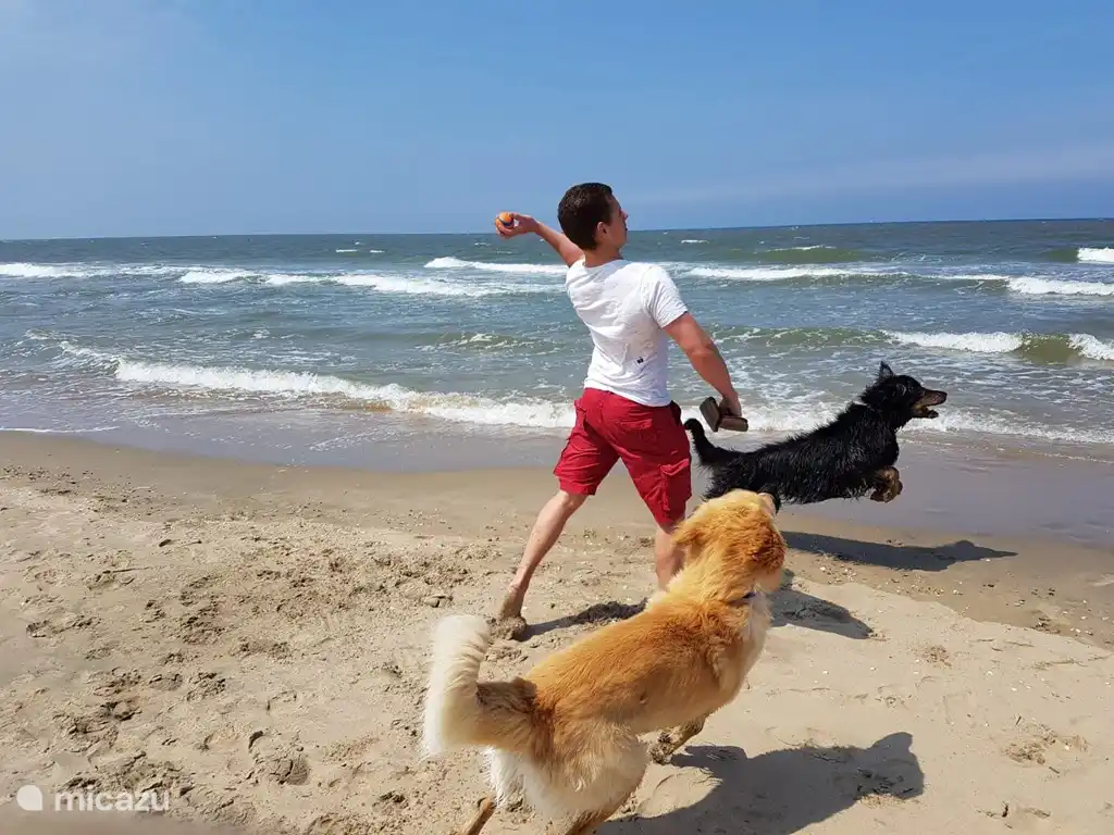 Der Strand von Langevelderslag, Noordwijk.