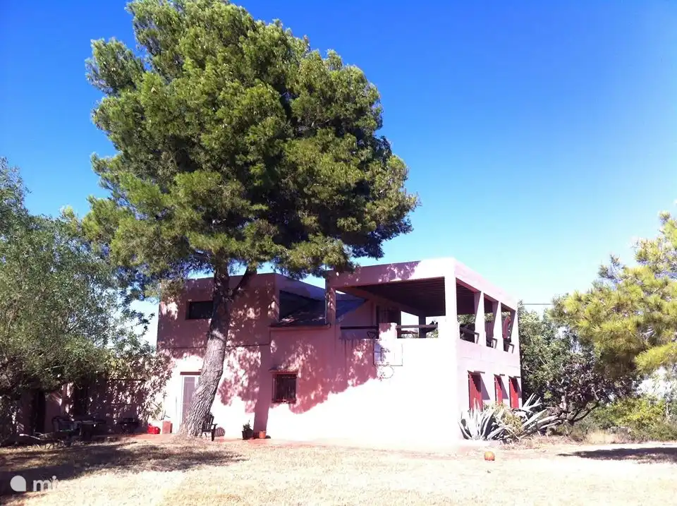 Dies ist die Seite des Hauses. Du siehst die Dachterrasse, da solltest du sein, wenn es richtig heiß ist. Dann können Sie beim Rauschen der großen Kiefer gemütlich in Ihrer Hängematte liegen.