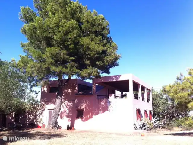 Casa Callig | Espagne, Costa del Azahar, Calig - maison de vacances C'est le côté de la maison. Vous voyez la terrasse sur le toit, c'est là qu'il faut être quand il fait très chaud. Ensuite, vous pourrez vous allonger confortablement dans votre hamac avec le bruissement du grand pin.