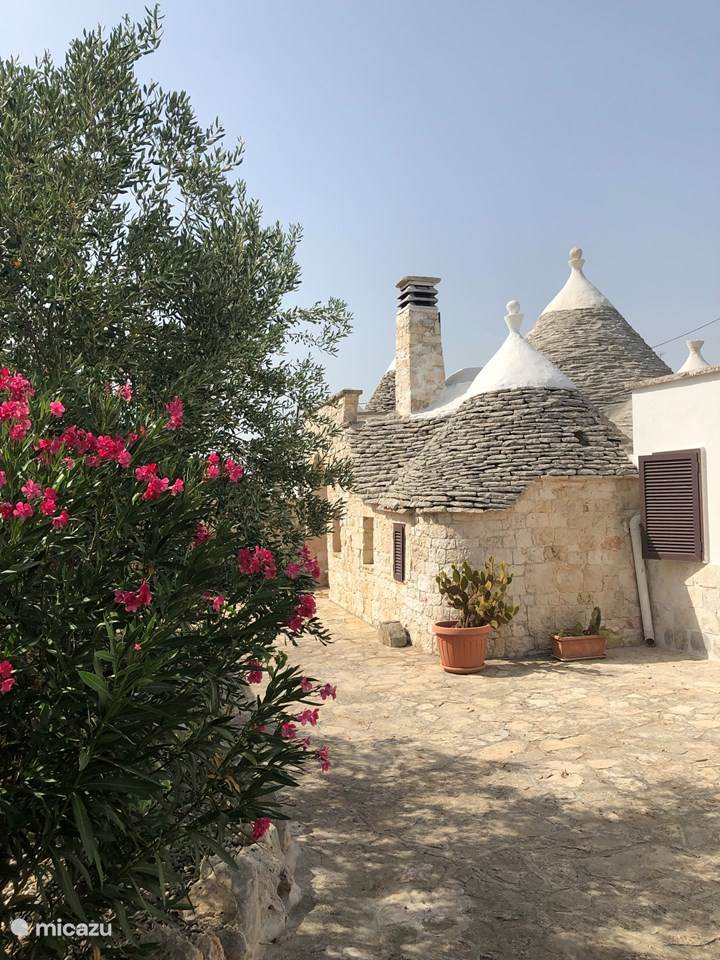 Rent Trullo Puglia Presidente In Martina Franca, Apulia. | Micazu