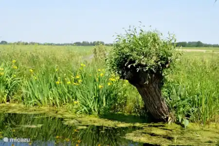 Camper huren midden nederland Camper huren midden nederland