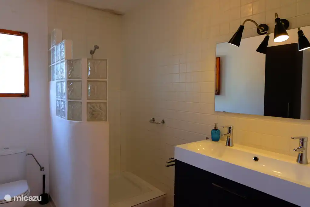 De badkamer boven heeft een dubbele wastafel, douche en toilet.
