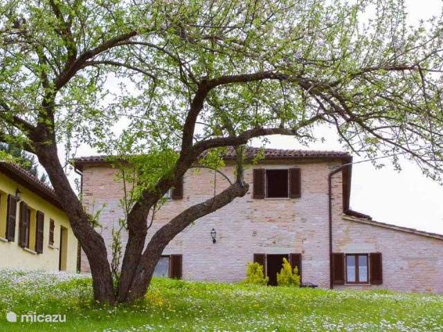 Holiday home in Italy, Marche – holiday house Urbino Studio Apt By Camaggionuovo