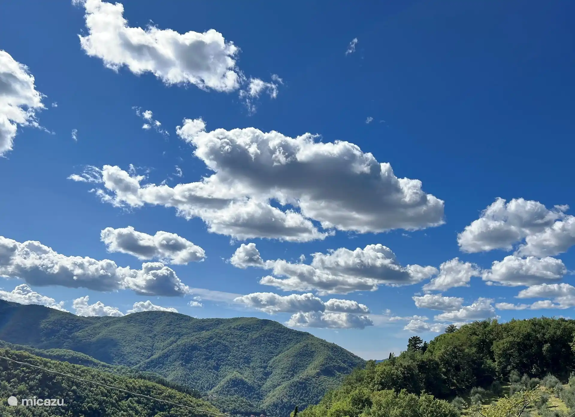 Sichtfenster Vorderhaus zweiter Stock. 

