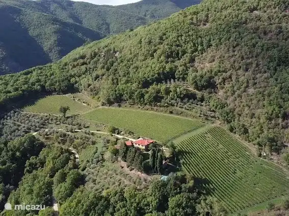 Lage des Hauses von oben gesehen