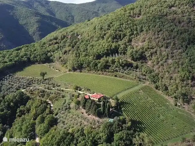 Valpiana | Italie, Toscane, Rufina - villa Localisation de la maison vue d'en haut