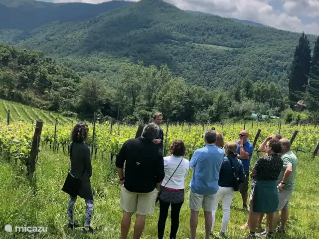 Valpiana | Italie, Toscane, Rufina - villa Dégustation précédée d'une visite de notre vignoble avec explication de la culture des différents cépages.