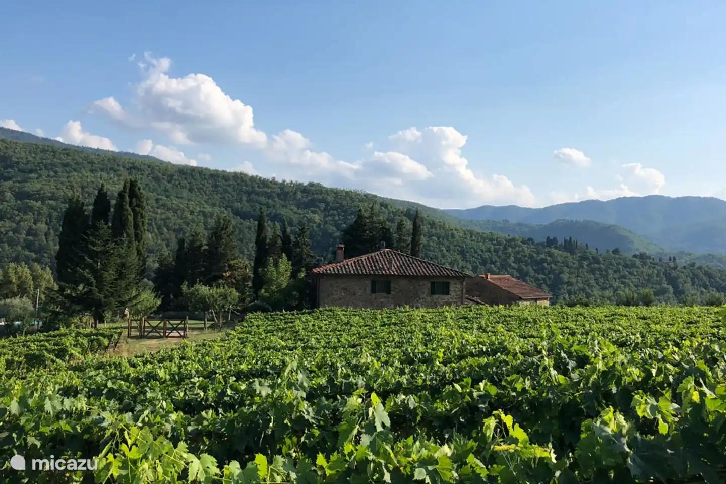 Blick von der Vigard